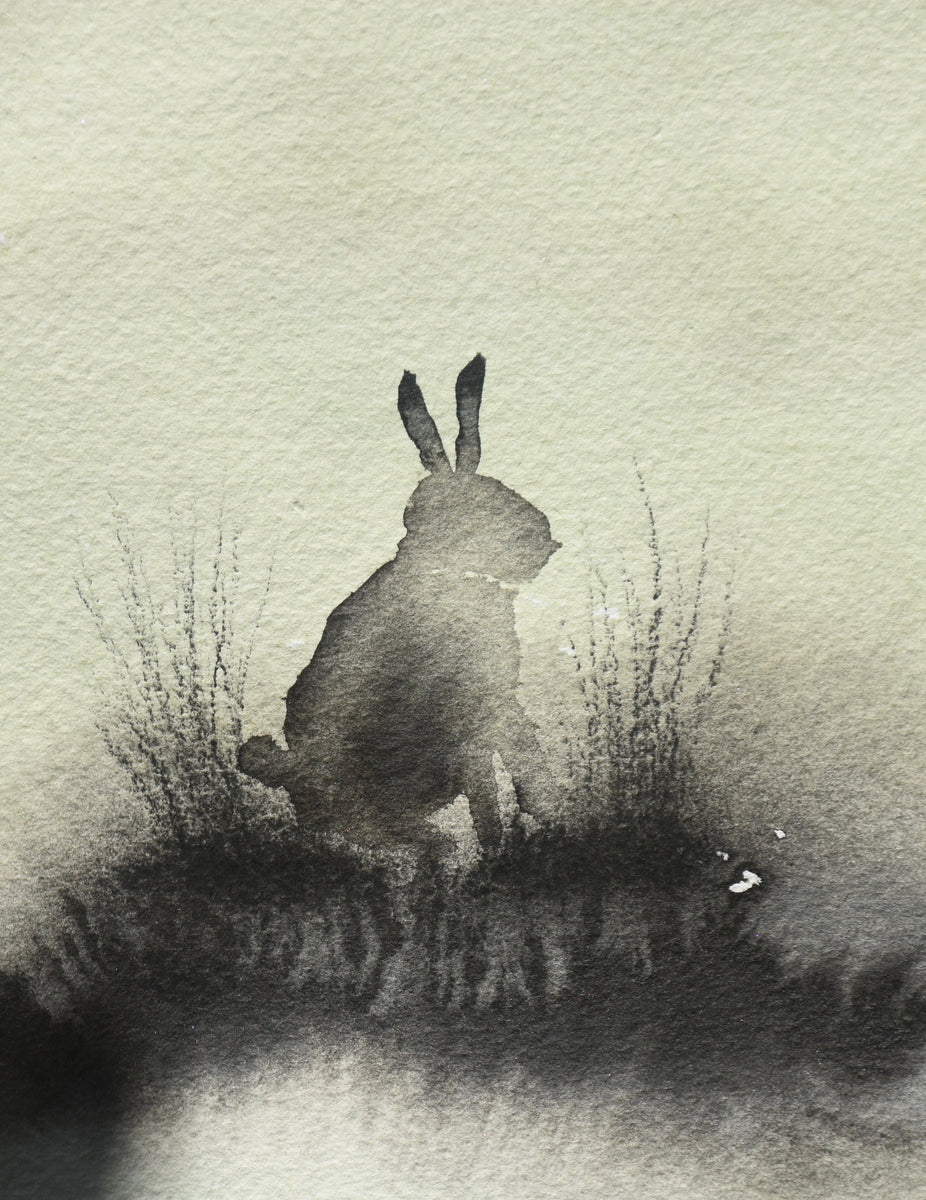 Ailbhe Wheatley, Midnight Rabbit – The Library Project
