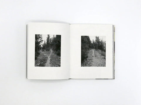 Mnemosyne Grove, Georgia Metaxas