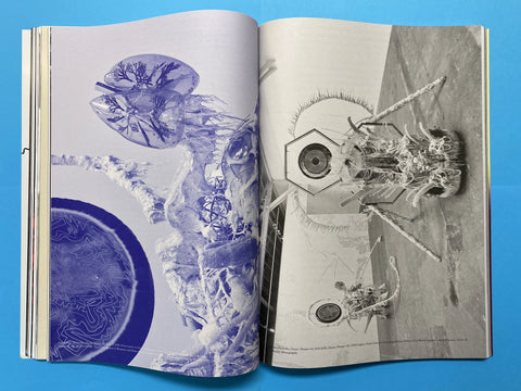Mousse, Issue 89: Fall 2024