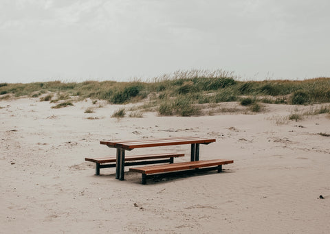 Bull Island, Myles Shelly