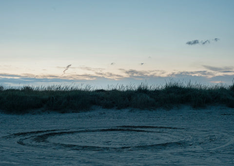 Bull Island, Myles Shelly