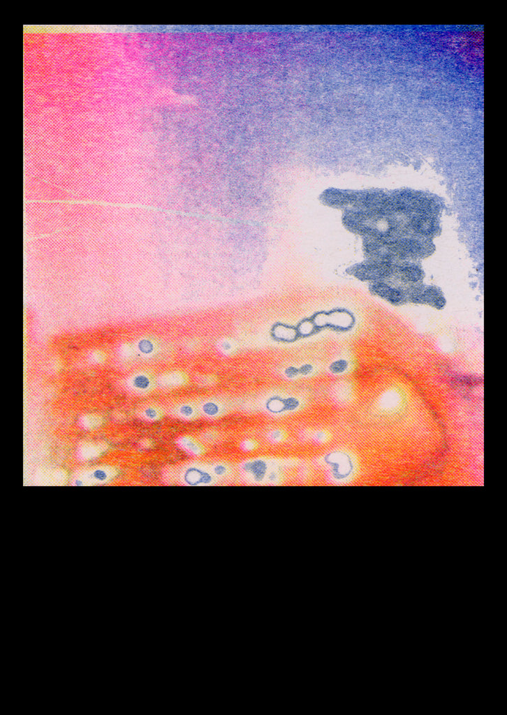 Sadhbh Lynam, I Almost Always Write in Pink Ink I