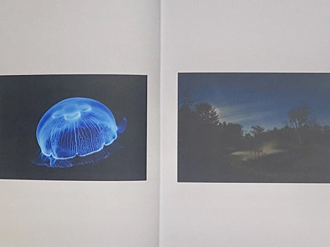 NIGHT MOODS: A Shutter Hub Editions Publication