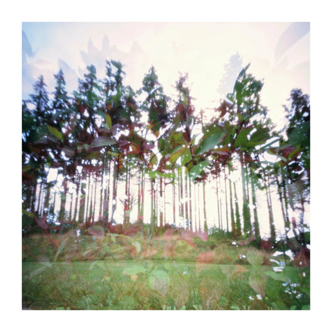 Natura Obscura, Barry Duggan