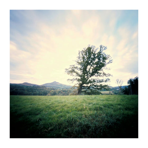 Natura Obscura, Barry Duggan