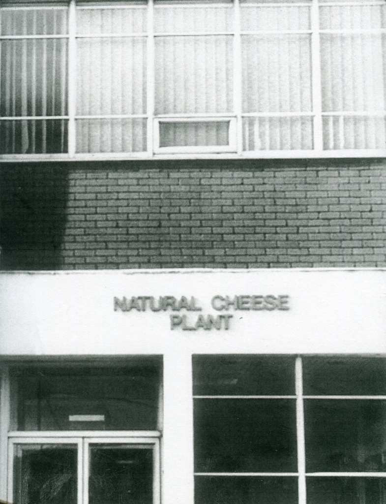 Natural Cheese, Erica Van Horn