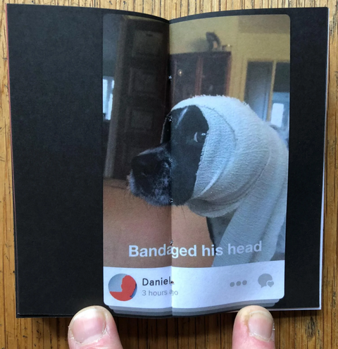 Netflix and Chill, Now a Magpie (Signed)