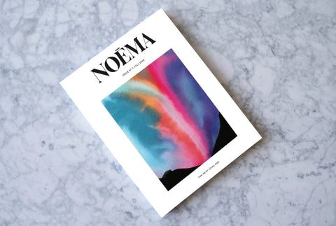 Noema Magazine, Issue 7
