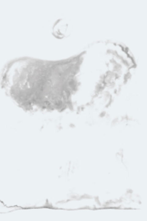 OBJECT / OBJECTION, Yuka Kobayashi