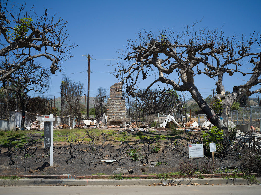 Fiona Hackett, The Palisades