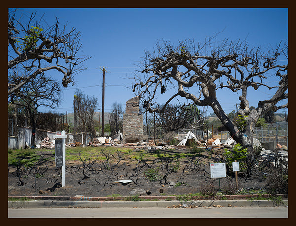 Fiona Hackett, The Palisades