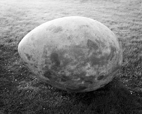 Peter Bjoerk, Egg, Baltray, Louth, 2023