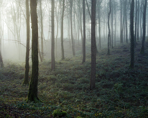 Peter Bjoerk, Mullaghmeen, Westmeath, 2020