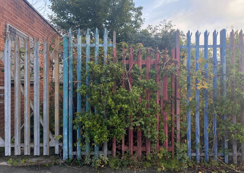 Això és l'est de Belfast, Philip Arneill