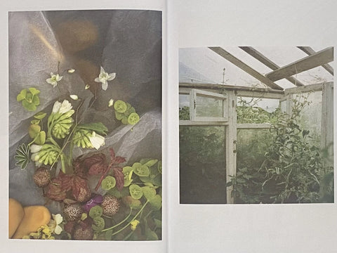 POETRY: A Shutter Hub Editions Publication