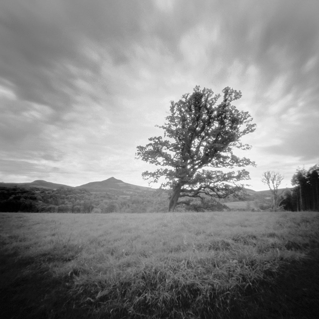 Barry Duggan, Powerscourt Estate
