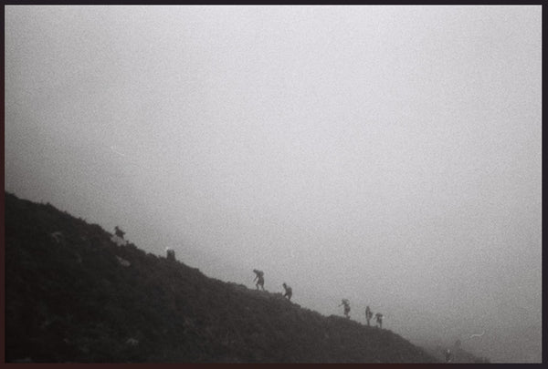 Conor McBride, Anró