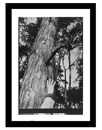 Rebecca Cairns, End of winter