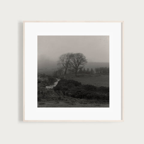 Rafal Krol, Silence