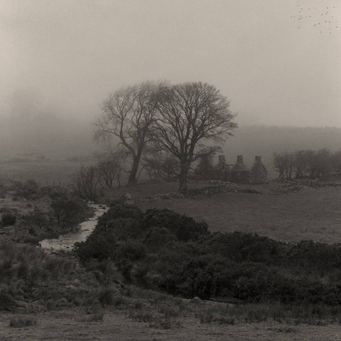 Rafal Krol, Silence