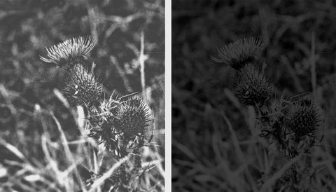 Rebecca Cairns, Gradation I