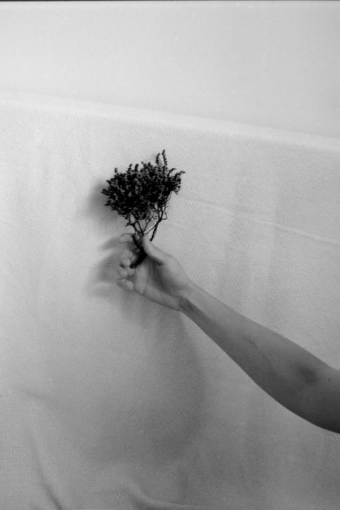 Rebecca Cairns, Gradation II