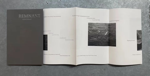 Remnant, Willie Doherty