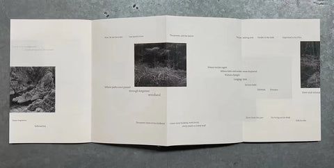 Remnant, Willie Doherty