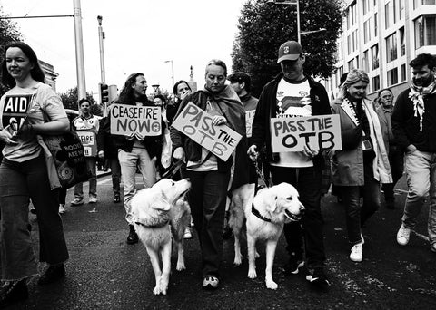 Saoirse don Phalaistín - A Witness to Solidarity, Hasan Yıkıcı