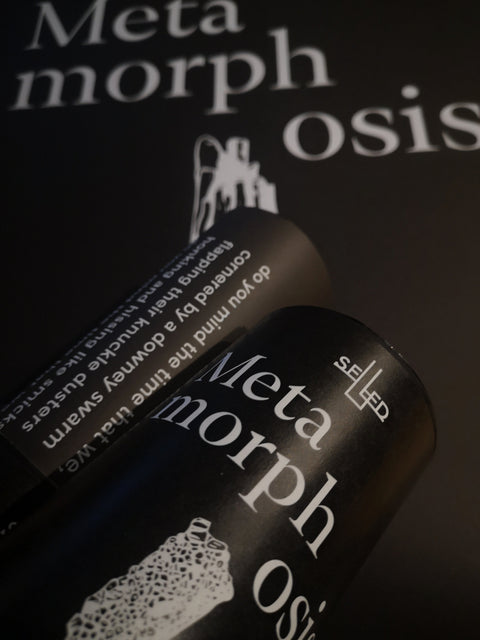 SEED, Issue 4: Metamorphosis