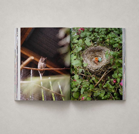 STAF Magazine #51: The California Issue