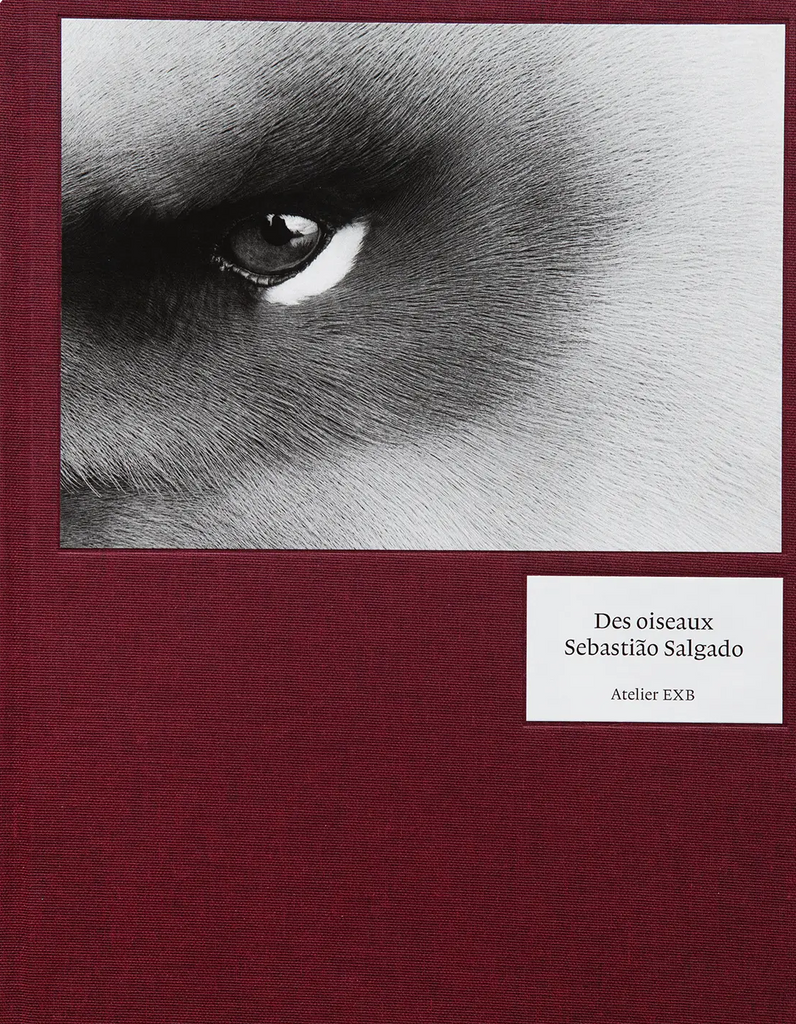 Des oiseaux, Sebastião Salgado