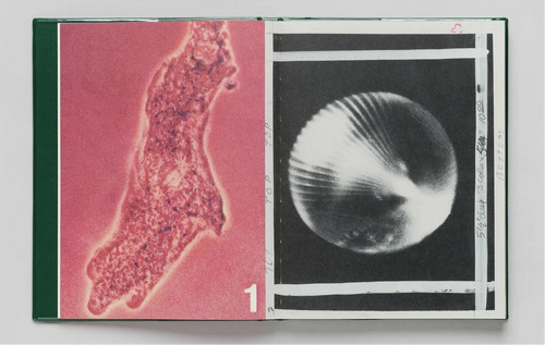 Vox Populi, London, Fiona Tan – The Library Project Vox Populi, London, Fiona Tan – The Library Project