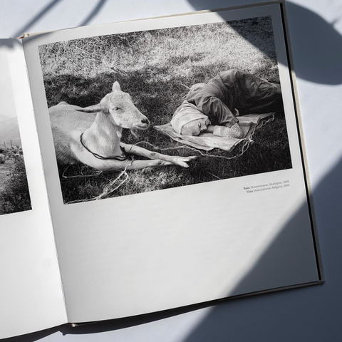 The Last Man Standing in the Rhodope Mountains, Valery Poshtarov