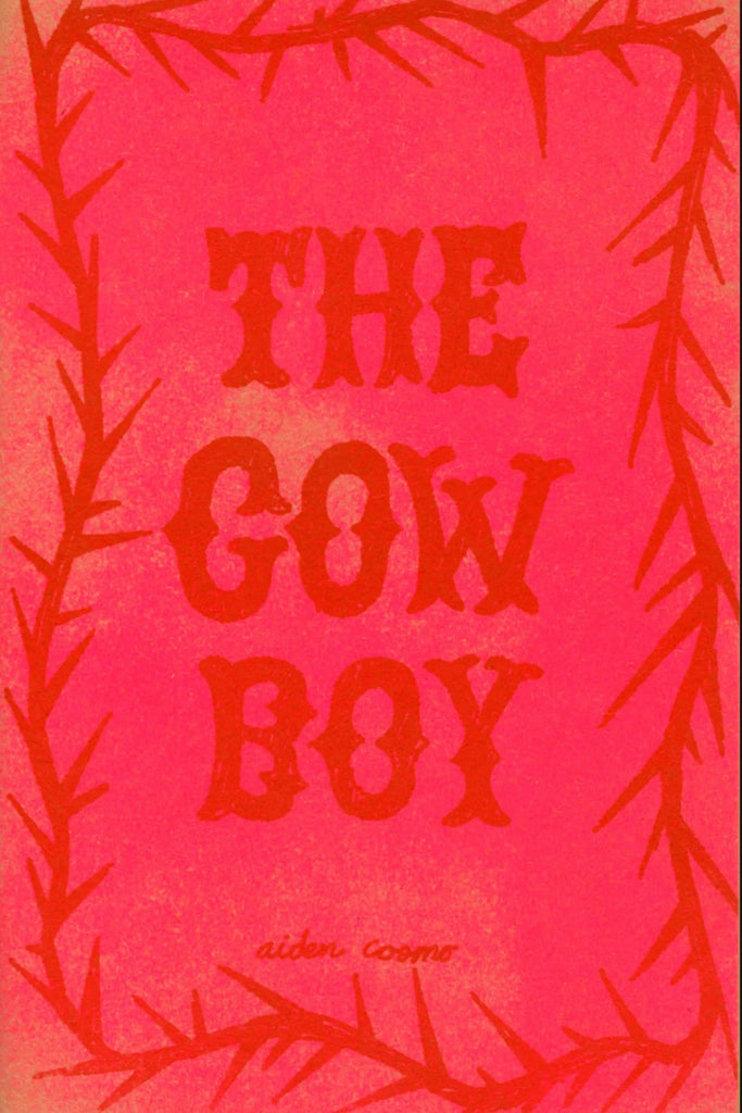 The Cowboy, Aiden Cosmo