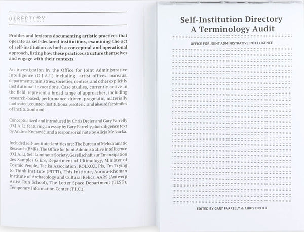 Self-Institution: A Terminology Audit
