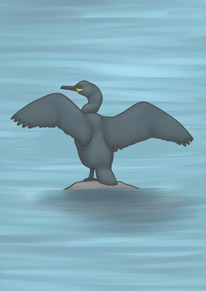 Joe Hollingsworth, Shag (Seaga)