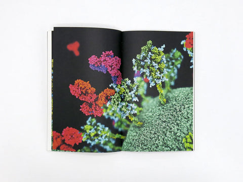 Sight Unseen: Visualising the Unseeable through Art and Science