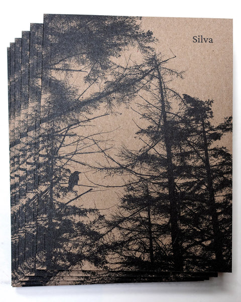 Silva, Martin Healy