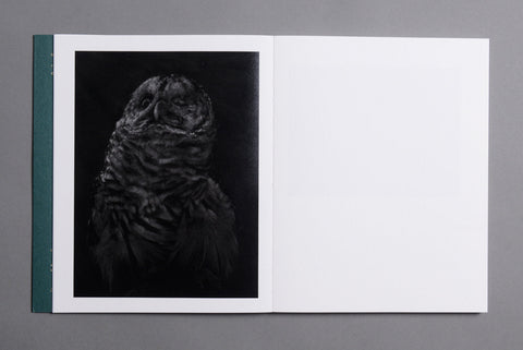 Sleep Creek, Dylan Hausthor and Paul Guilmoth