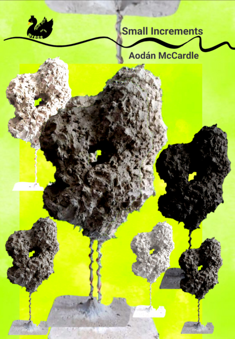 Small Increments, Aodán McCardle