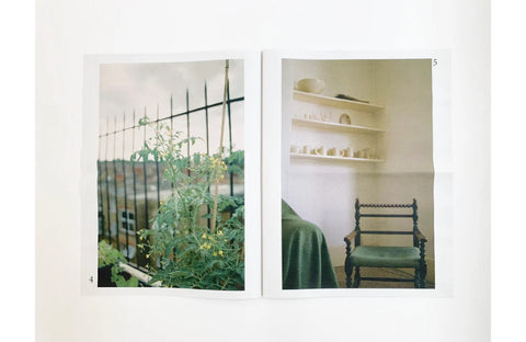 Soft Soil, Olivia Fiddes