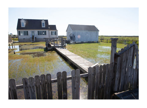 Tangier Island, Alan Gignoux
