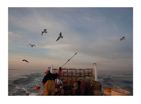 Tangier Island, Alan Gignoux