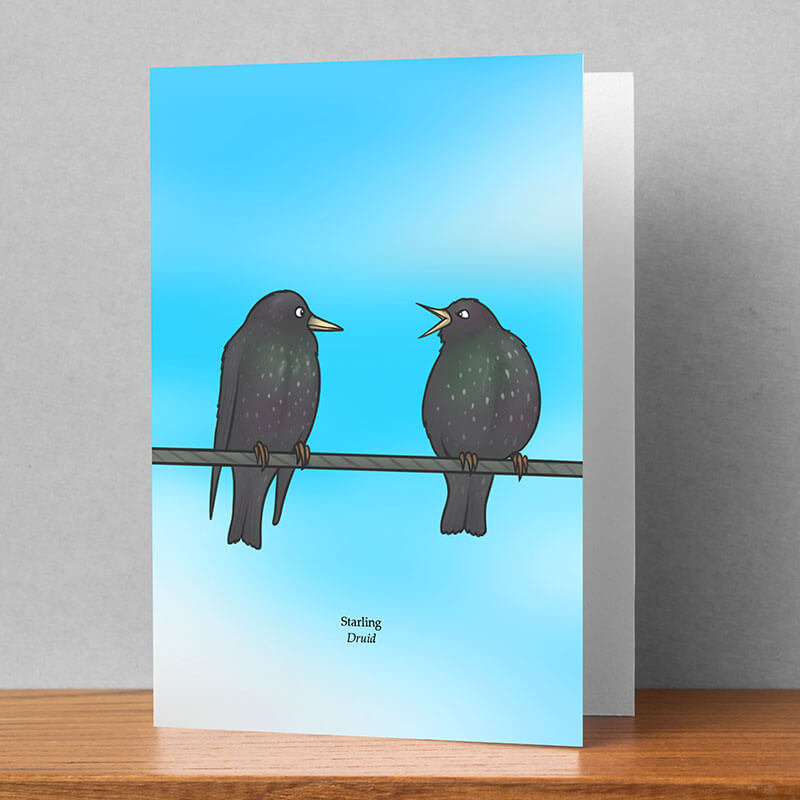 Starling Greeting Card, Joe Hollingsworth & OystercatcherTF