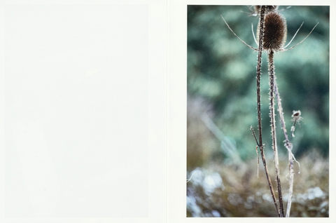 Still Fantasy, Absalon Kirkeby