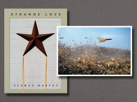 Strange Love, Seamus Murphy