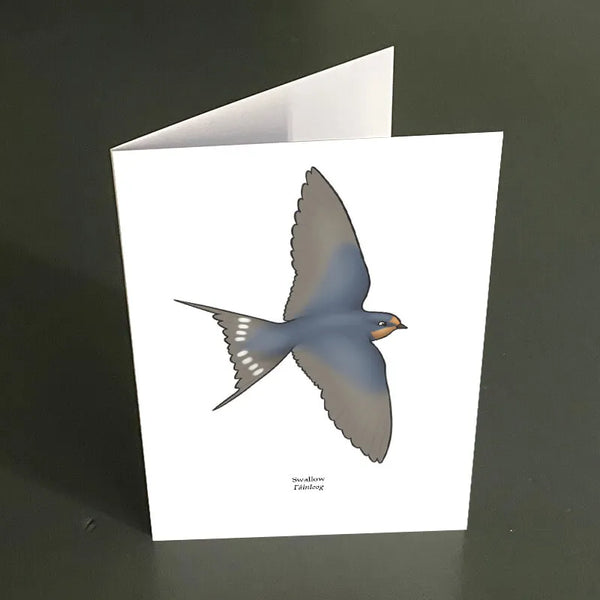 Swallow Greeting Card Joe Hollingsworth & OystercatcherTF