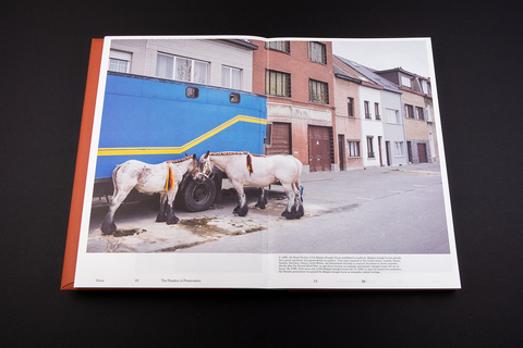 Horse, Heleen Peeters