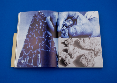Klara and the Bomb, Crystal Bennes